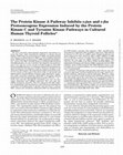 Research paper thumbnail of The Protein Kinase A Pathway Inhibits c-jun and c-fos Protooncogene Expression Induced by the Protein Kinase C and Tyrosine Kinase Pathways in Cultured Human Thyroid Follicles