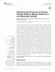 Research paper thumbnail of Intramuscular Pressure of Human Tibialis Anterior Muscle Reflects in vivo Muscular Activity