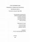 Research paper thumbnail of Topografia e morfologia do sistema urinário de jabuti (Geochelone carbonaria - Spix, 1824)