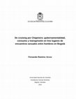 Research paper thumbnail of Tesis de maestría - De cruising por Chapinero: gubernamentalidad, consumo y transgresión en tres lugares de encuentros sexuales entre hombres en Bogotá