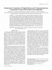 Research paper thumbnail of Enantiomeric Separation of Original Heterocyclic Organophosphorus Compounds in Supercritical Fluid Chromatography