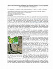 Research paper thumbnail of Shallow subsurface geophysical investigation of a Chalcolithic site within the Danube Delta