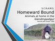 Research paper thumbnail of Homeward Bound: Animals at home in the Íslendingasögur