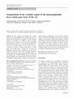 Research paper thumbnail of Organization of the variable region of the immunoglobulin heavy-chain gene locus of the rat