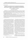 Research paper thumbnail of КОНТЕНТ-АНАЛИТИЧЕСКОЕ ИССЛЕДОВАНИЕ МЕДИАОБРАЗА ЕВРОРЕГИОНА «ДОНБАСС» (ПО МАТЕРИАЛАМ СЕТИ ИНТЕРНЕТ