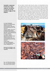 Research paper thumbnail of Symbolic responses to the Inca: inter- regional variability in rock art at the southern edge of the empire