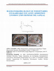 Research paper thumbnail of ΔΙΠΛΩΜΑΤΙΚΗ ΜΑΣΤΕΡ- ΦΑΣΜΑΤΟΣΚΟΠΙΑ RΑΜΑΝ ΣΕ ΤΟΙΧΟΓΡΑΦΙΕΣ....