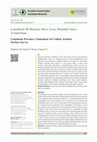 Research paper thumbnail of Çanakkale İli İnsansız Hava Aracı Destekli Yüzey Araştırması/Çanakkale Province: Unmanned Air Vehicle Assisted Surface Survey