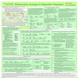 Research paper thumbnail of Relativization strategies in Migueleño Chiquitano (poster)