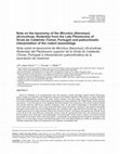 Research paper thumbnail of Nota sobre la taxonomía de Microtus (Iberomys) (Arvicolinae, Rodentia) del Pleistoceno superior de la Gruta do Caldeirão (Tomar, Portugal) e interpretación paleoclimática de la asociación de roedores