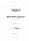 Research paper thumbnail of Rural sites in ancient Pamphylia and GIS analysis of settlement patterns / Pamphylia’daki Kırsal Yerleşim Dokusu ve Bölgesel Yerleşim Trendlerinin CBS Destekli Analizi