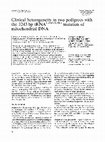 Research paper thumbnail of Clinical heterogeneity in two pedigrees with the 3243 bp tRNA Leu(UUR) mutation of mitochondrial DNA