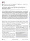 Research paper thumbnail of Heteroresistance to Itraconazole Alters the Morphology and Increases the Virulence of Cryptococcus gattii