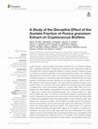 Research paper thumbnail of A Study of the Disruptive Effect of the Acetate Fraction of Punica granatum Extract on Cryptococcus Biofilms