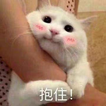 @bibiqqqq