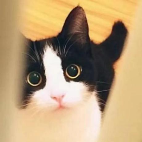 @1316391568