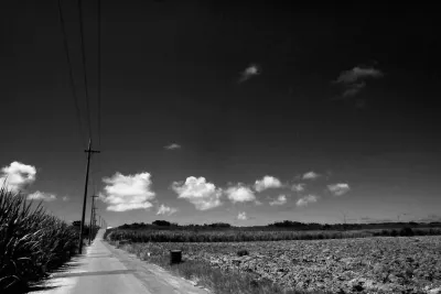 Road flanked by fields