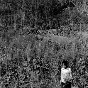 Girl standing in field