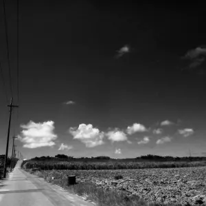 Road flanked by fields