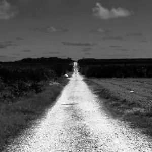 Dirt road in fields