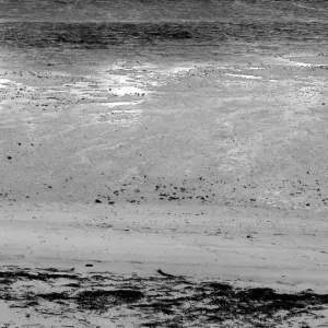 Figure on dry beach