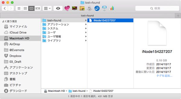 Macの容量を大きく占めるlost+foundファイルの正体と処理について 3