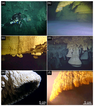 https://www.biogeosciences.net/16/2285/2019/bg-16-2285-2019-f02