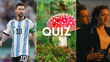 Trudny quiz wiedzy ogďż˝lnej prawda faďż˝sz. Odpowiesz bezbďż˝ďż˝dnie?