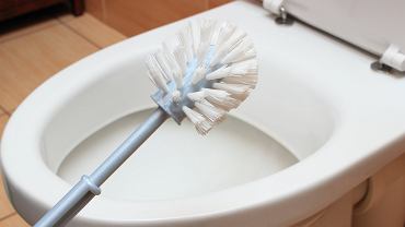 Genialny trik na czystďż˝ szczotkďż˝ do WC. Tak pozbďż˝dziesz siďż˝ bakterii, brudu i smrodu