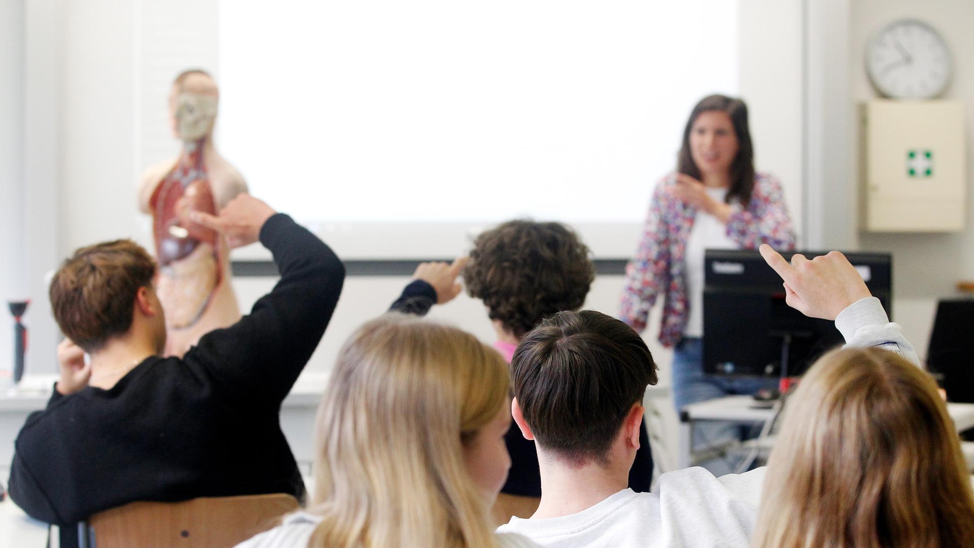 Schüleinnen und Schüler eines Biologie-Leistungskurses beim Unterricht.