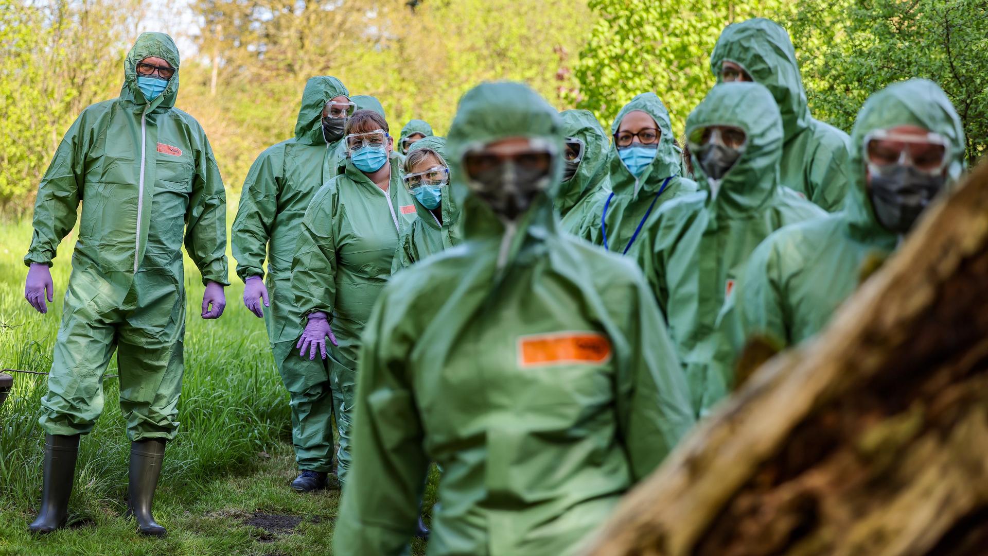 Mehrere Tierärzte und Helfer tragen grüne Schutzkleidung und sich vermummt.