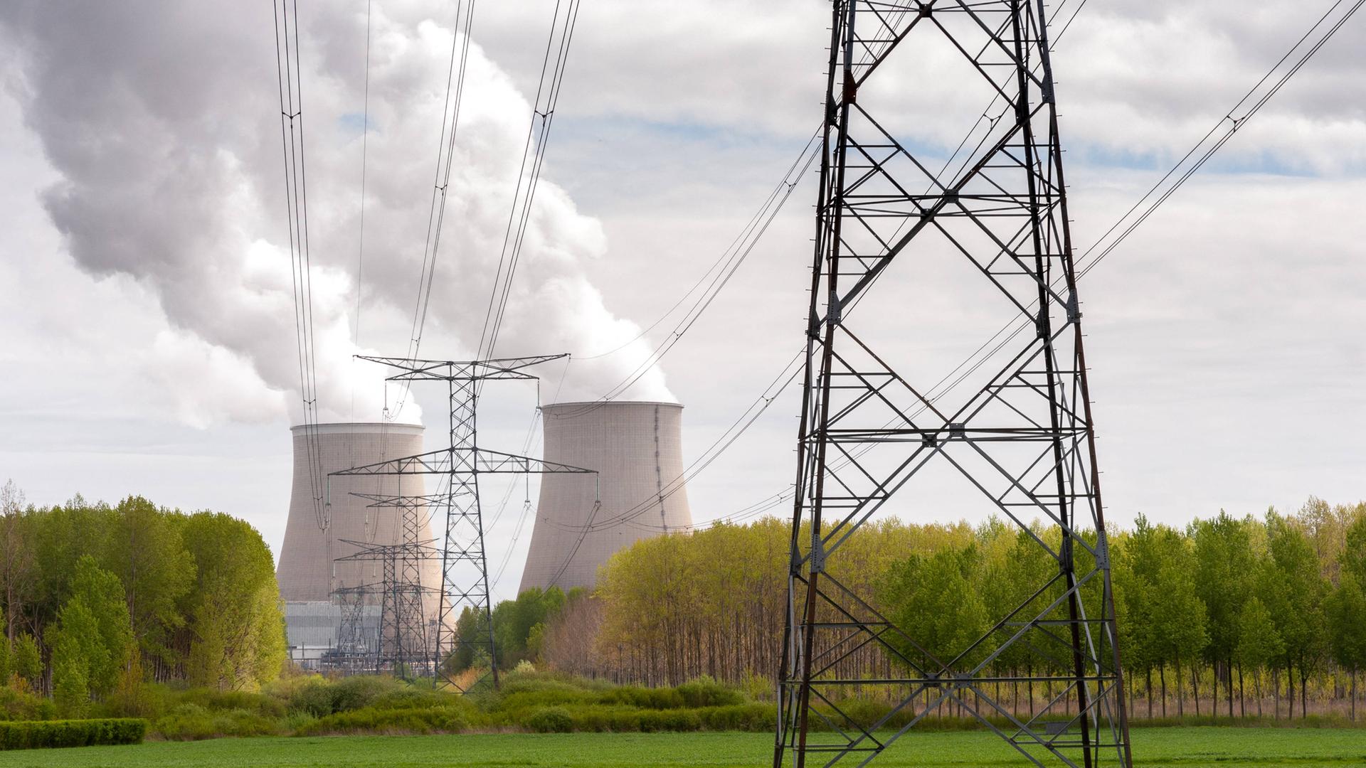 Das Atomkraftwerk Nogent-sur-Seine - davor eine Hochspannungsleitung