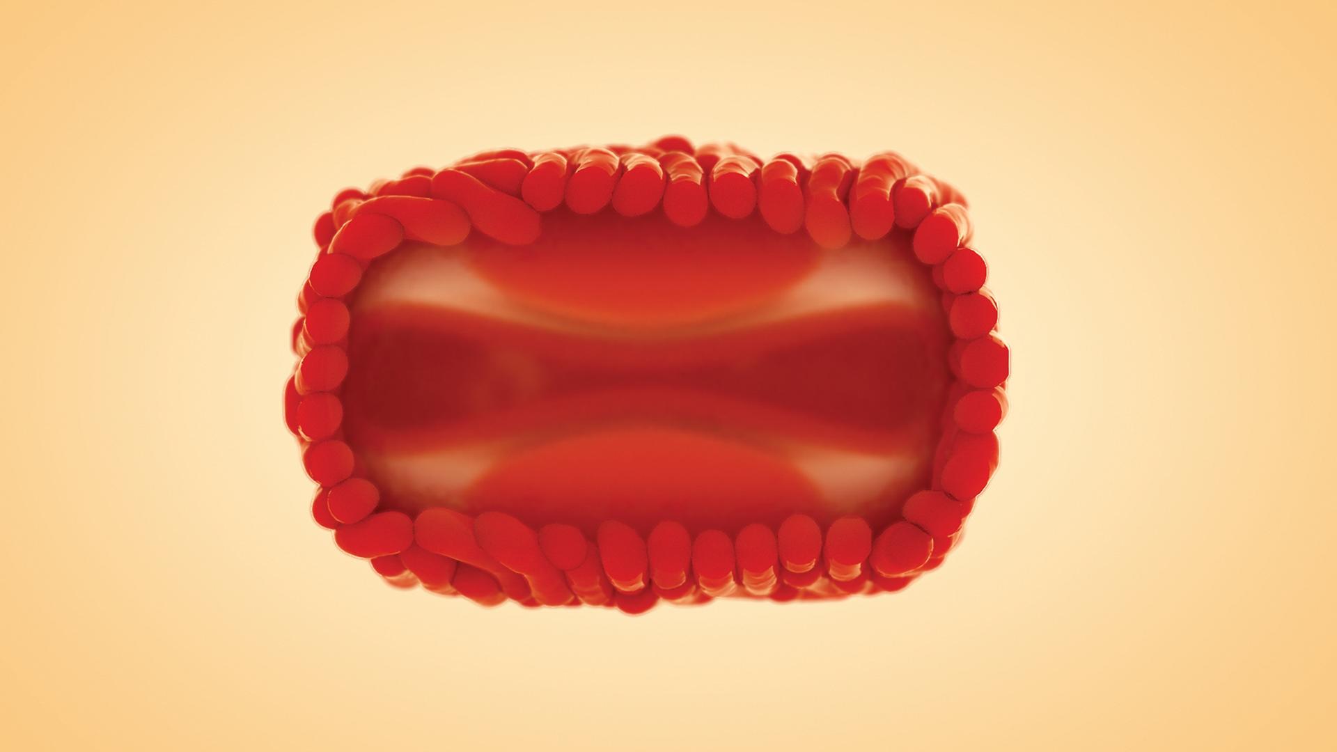 Rote 3D Visualisierung der Affenpocken/Mpox