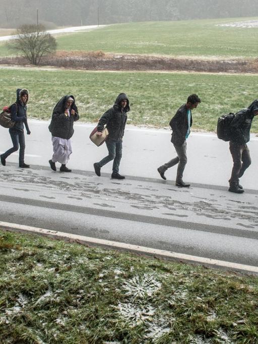 Flüchtlinge gehen am 21.11.2015 an der deutsch-österreichischen Grenze nahe Wegscheid (Bayern) während eines Schneeschauers nach Deutschland.