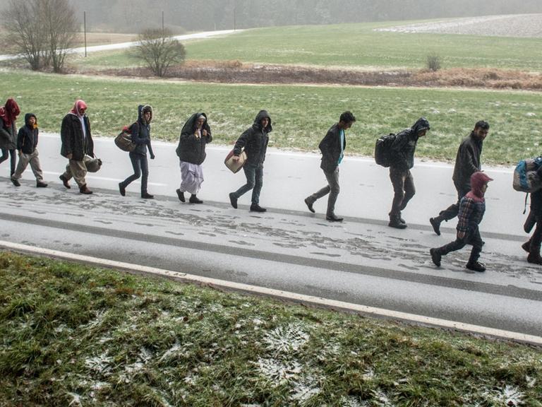 Flüchtlinge gehen am 21.11.2015 an der deutsch-österreichischen Grenze nahe Wegscheid (Bayern) während eines Schneeschauers nach Deutschland.