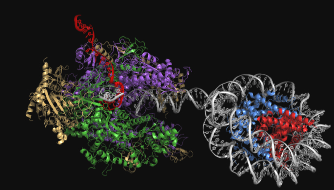 Gene Regulation, Epigenomics & Transcriptomics