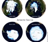 Did you know the differences between Arctic and Antarctic sea ice?