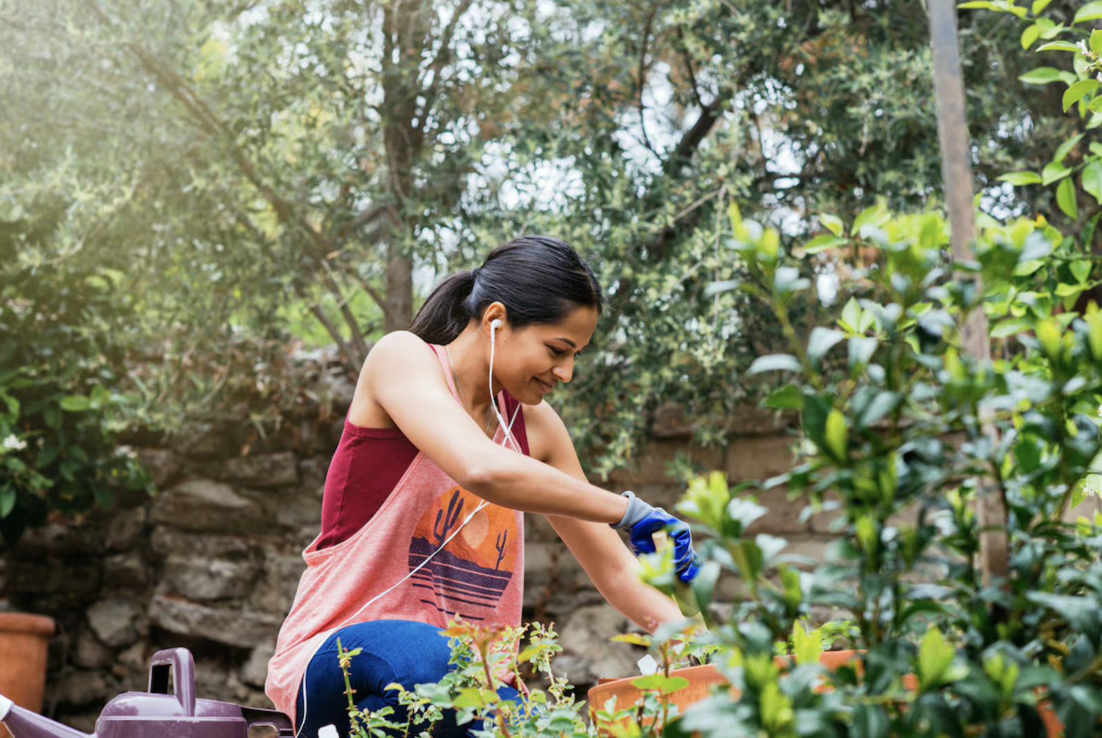 Cultive um jardim na sua casa ou no seu apartamento com flores em todas as estações do ano