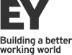 Ernst and Young Logo