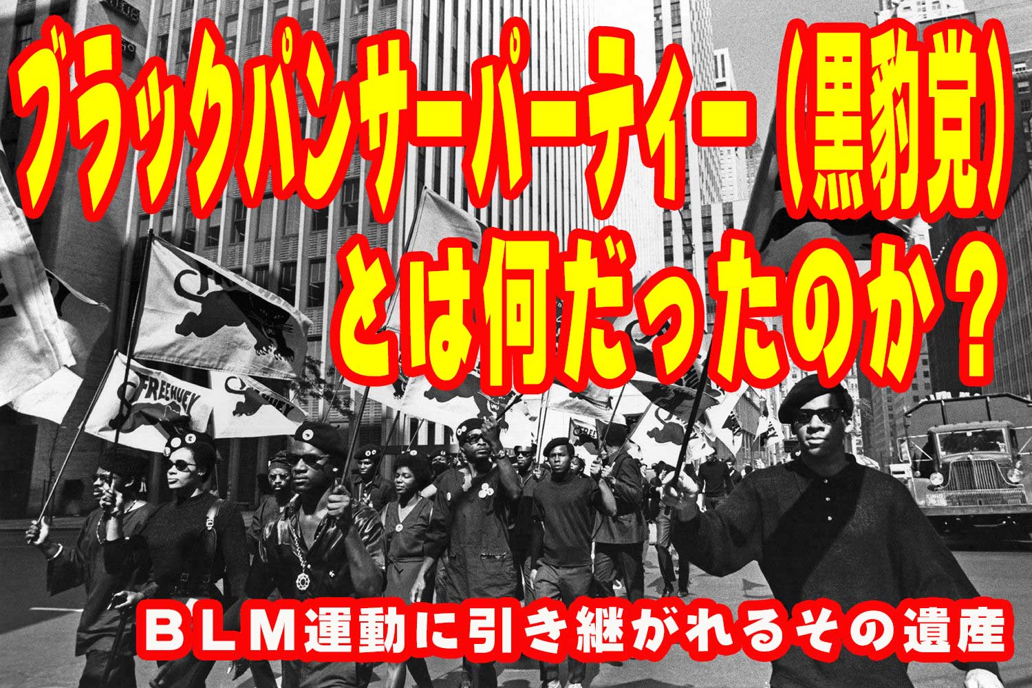 ブラックパンサーパーティー（黒豹党）とは何だったのか？