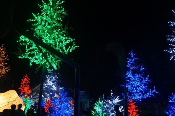 luces de Navidad, Decoración navideña, ligero, fotografía, verde, azul