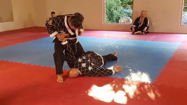 体育,武术,战斗运动,个人运动,hapkido,垫