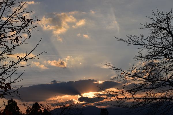 Yamagata,Japonya,sonbahar,doğa,Güneş,Nikon