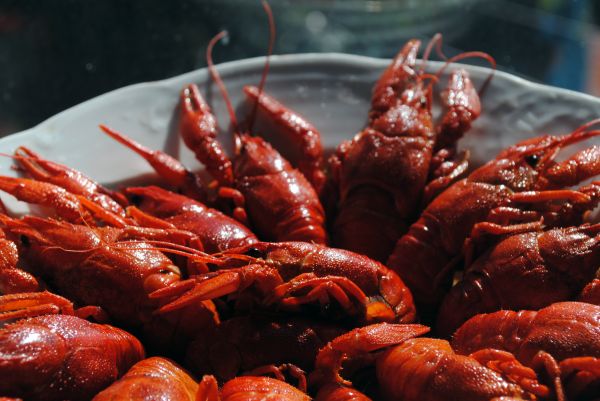 Cajun nourriture,écrevisse,en bois,Fruit de mer,aliments,Décapode