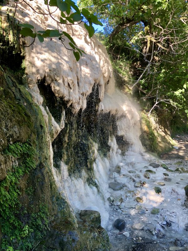 ressources en eau, plan d'eau, eau, la nature, Naturel, végétation