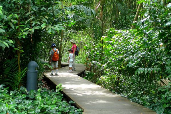 Sungei Buloh,Singapore,vizes,erdő,gyerekek,család