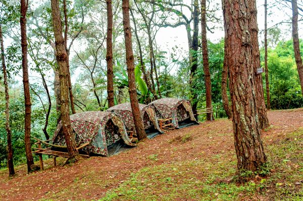 Мероприятия,приключение,красивая,лагерь,camping family,палатка