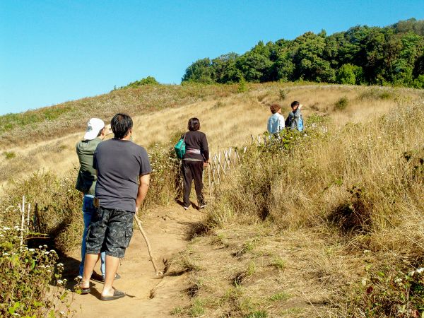 Тайланд, пейзаж, пътуване, Chiangmai, природа, Интханон