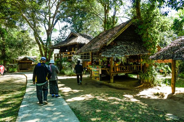 kolam, hutan, cermin, terang, pariwisata, pemandangan