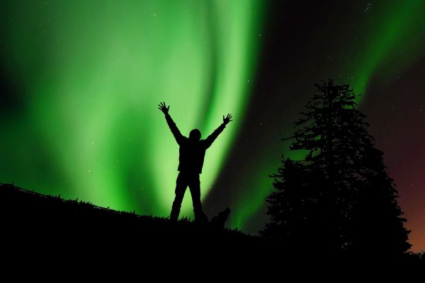 jitřenka, borealis, polární záře, Severní polární záře, polární, polární záře